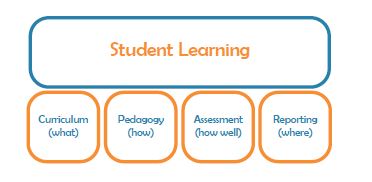 curriculum